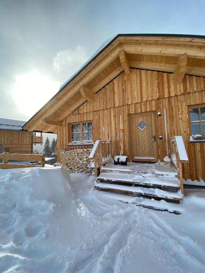 Almhuette Villa Lachtal Bagian luar foto