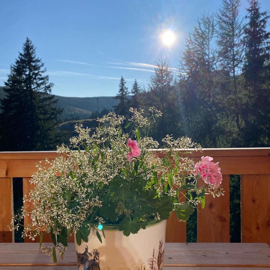 Almhuette Villa Lachtal Bagian luar foto