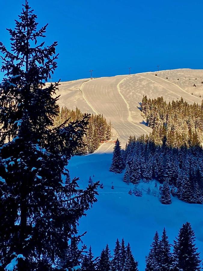 Almhuette Villa Lachtal Bagian luar foto