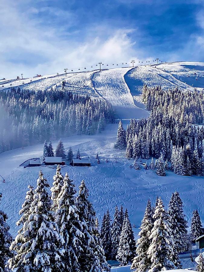 Almhuette Villa Lachtal Bagian luar foto